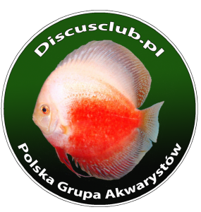 Logo Superdiscus