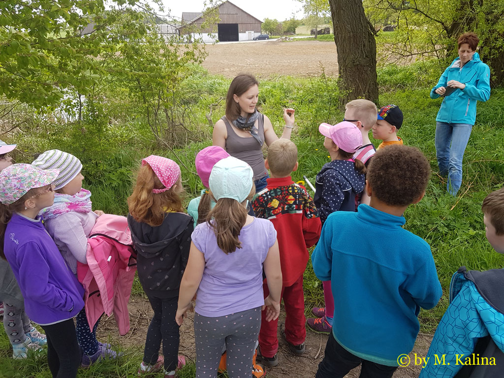 Youth at the Gelbbauchunken project of the ÖVVÖ